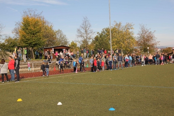 Bild-1