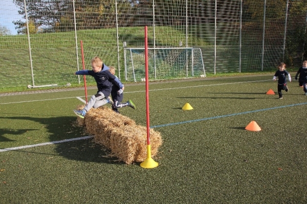 Bild-2