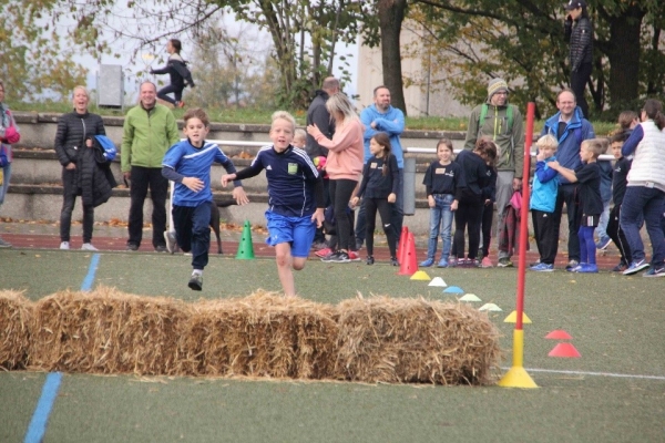 Bild-3